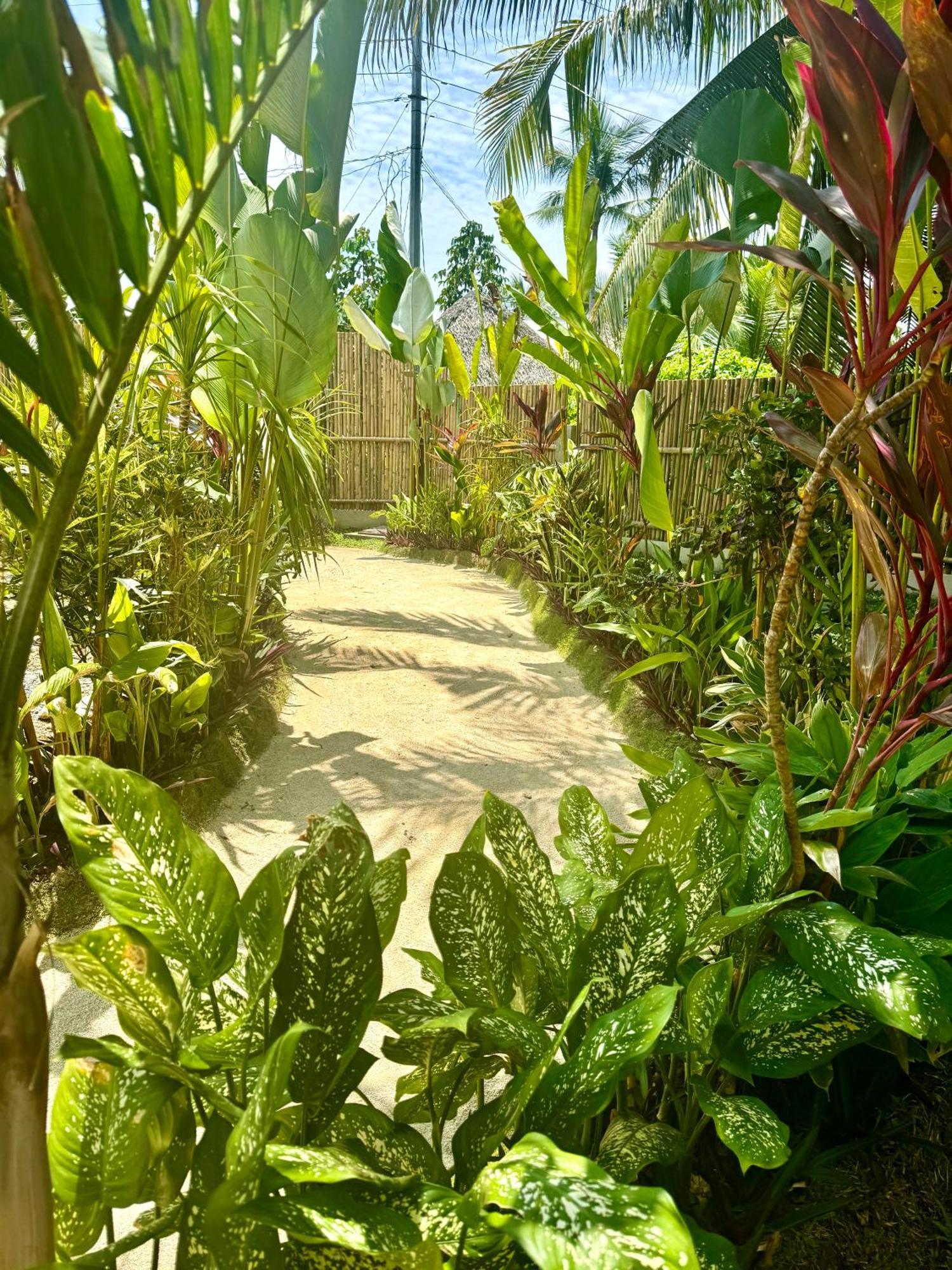 Villa Pura Vida Apartments Siargao General Luna  Ngoại thất bức ảnh